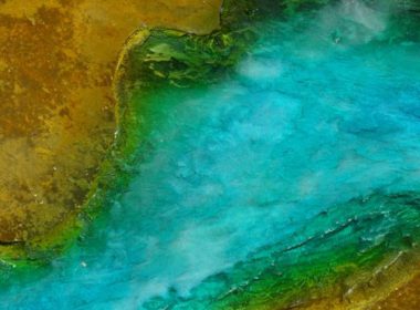 Concrete Dye in green, blue and yellow
