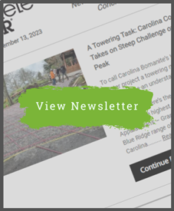 CD Newsletter - December 13, 2023