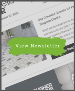 CD Newsletter - November 22, 2023