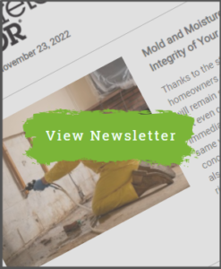 Concrete Decor Newsletter - November 22, 2023