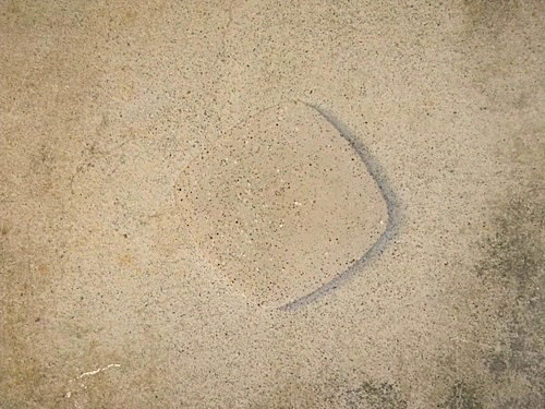 a case were Patching Polished Concrete matched perfectly