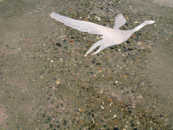 Decorative concrete by Jim Vermillion - Concrete Decor