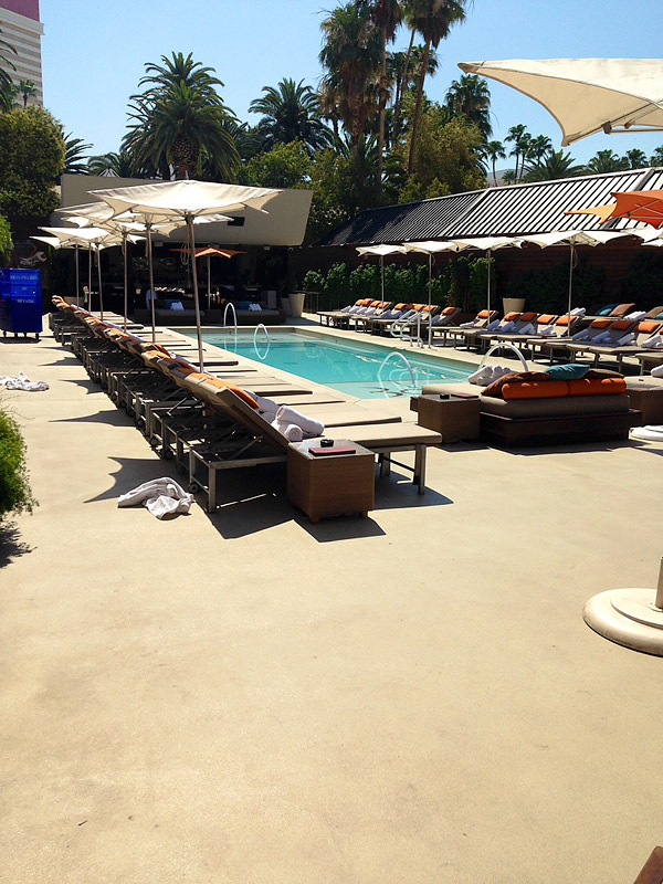 Much of the decorative concrete work in Las Vegas involves making old concrete look new again, such as the Bare Pool at the Mirage. Photo courtesy of Miracote