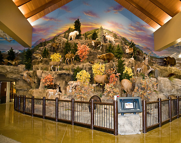 Decorative Concrete in Cabela's Stores