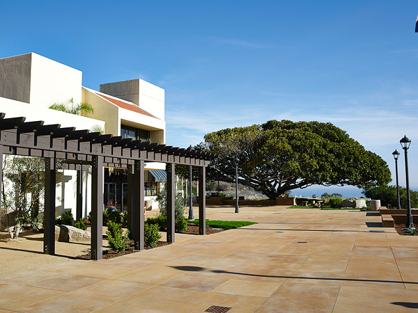 ASCC Award Winning Stained Concrete 2015