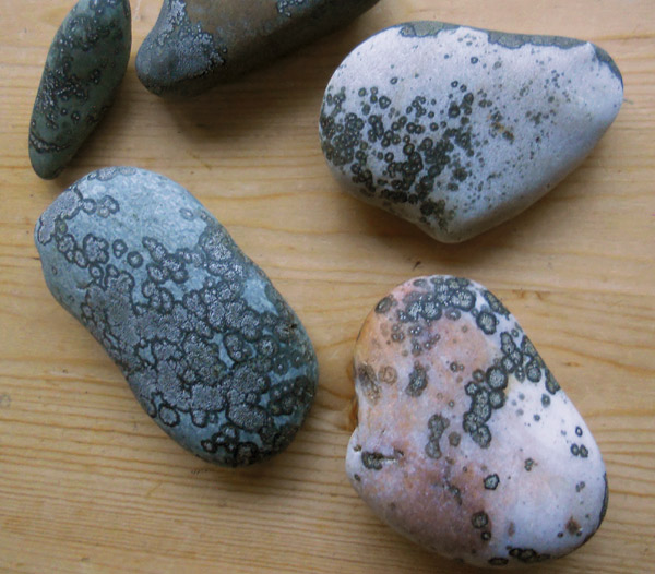 A pile of rocks on a wood table