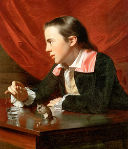 John Singleton Copley, A Boy with a Flying Squirrel (Henry Pelham),