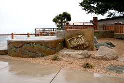 concrete fossils - Photo by Tom Ralston