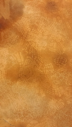 footprints formed during acid staining