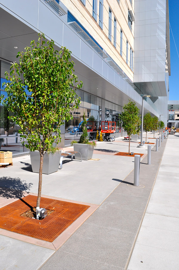 Colorado Hardscapes installed decorative concrete, standard gray concrete, tree grates, benches, planters and bollards at Saint Joseph Hospital in Denver. Photos courtesy of Colorado Hardscapes