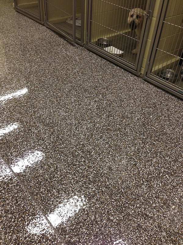 So when we were tasked with providing flooring solutions that offer easy maintenance, long-term reliability and antimicrobial protection, we jumped at the opportunity.