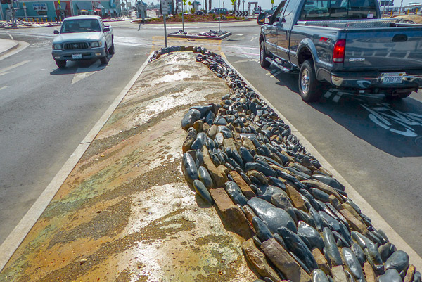 Tom Ralston dolphin roundabout project