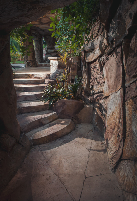 concrete cave with steps and tree