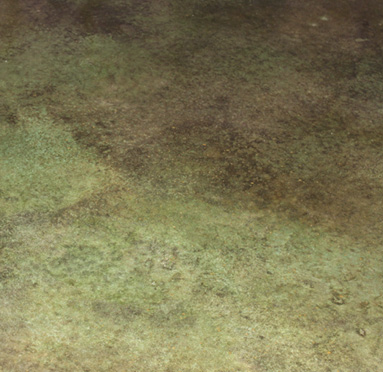 Reactive, or acid, stains can create great mottled effects. Photo courtesy of Brickform, a division of Solomon Colors Inc.