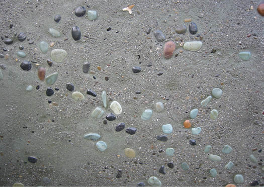 A closeup of sunburst cobble reveals several colors including jade green, Kuro black and Five Springs. This installation, at a coffee café entrance, features aggregate bands in areas of green-colored concrete, conveying a marine motif. Photo courtesy of Tom Ralston Concrete