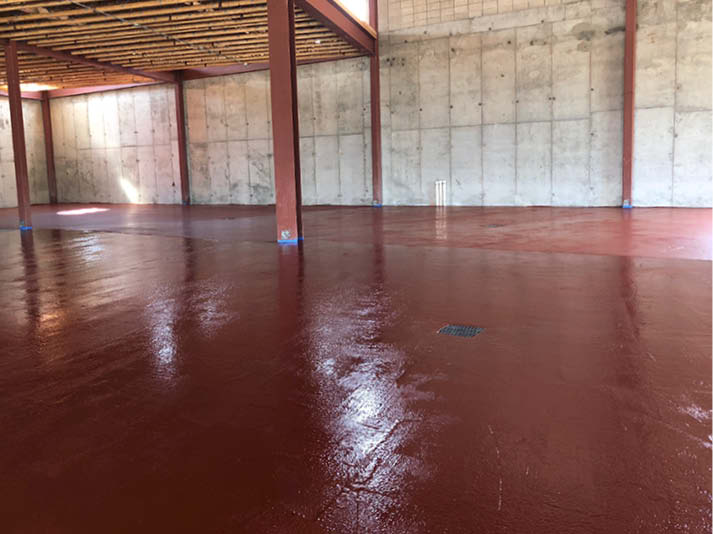Look at the space with a fully installed polyaspartic.