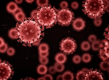 2020 Coronavirus Pandemic