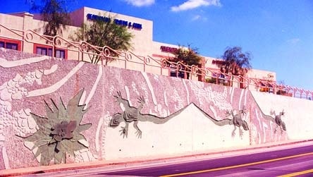 Colorful highway wall treatment including a salamander made possible by concrete form liners. Decorative walls by Scott System.