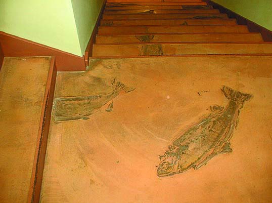 Whole Foods Market had a concrete contractor take fresh salmon that had been cut in half as an imprinting tool for the stair way.