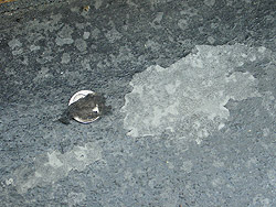 Stain residue on concrete creating sealer delaminating issues.
