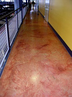So in 2000, he launched a contracting business with three partners. Within a span of three years, he saw the number of decorative concrete projects double but, still, he wanted more. Again, the general contracting aspect of the business limited those aspirations. To really focus on decorative concrete he would have to strike out on his own to do it  and he did, in 2003