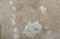 Polished concrete repair products used on this slab