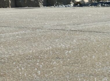 A slab of concrete with sealer on it.