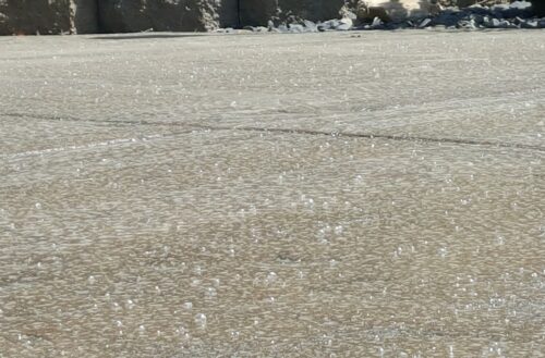 A slab of concrete with sealer on it.