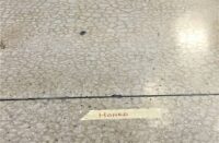 craze cracks on a polished concrete floor