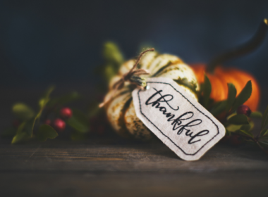 A Thanksgiving Perspective from Concrete Decor