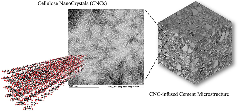 Purdue University researchers are ready to test whether they can make a stronger bridge by using concrete infused with microscopic nanocrystals from wood. The researchers have been working with cellulose nanocrystals, byproducts generated by the paper, bioenergy, agriculture and pulp industries.