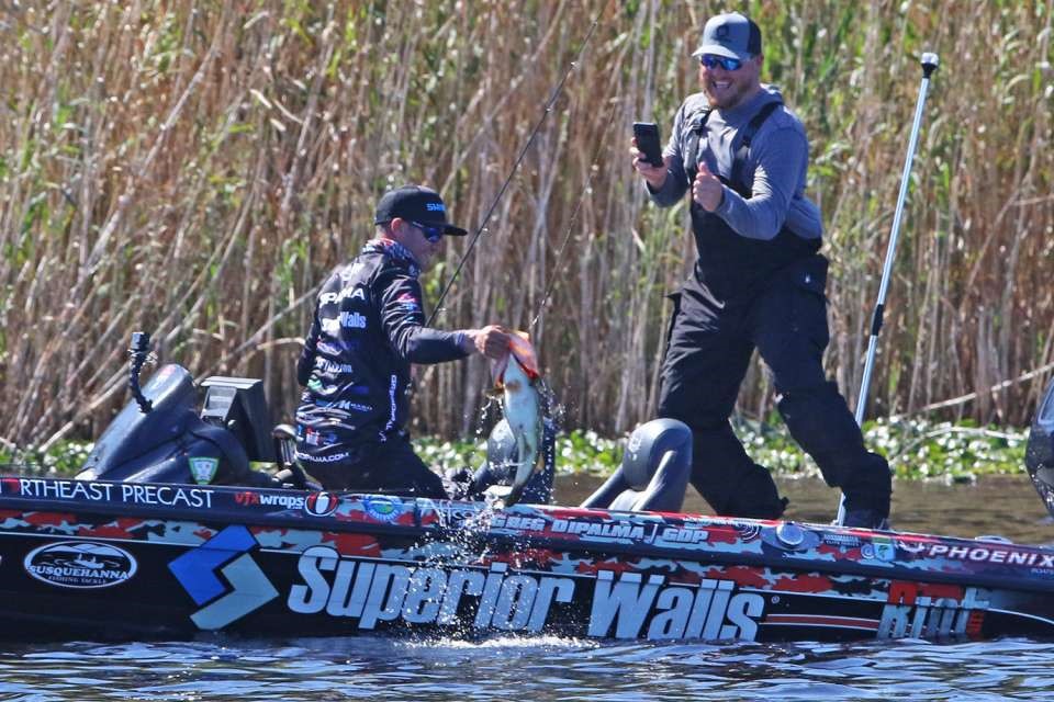 Greg DiPalma is living every guys dream. After a long run in the construction industry, hes swapped his tool belt for a fishing rod. The Millville, N.J. native, who spent 16 years working side-by-side with his father at E D Builders, has just completed his first professional Bassmaster Elite Series fishing tournament