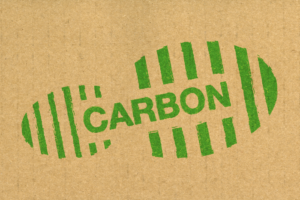 a picture of a carbon footprint to stand for reducing carbon emissions 