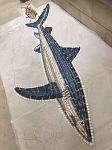 Shark design in The Map of the Grand Canyons of La Jolla