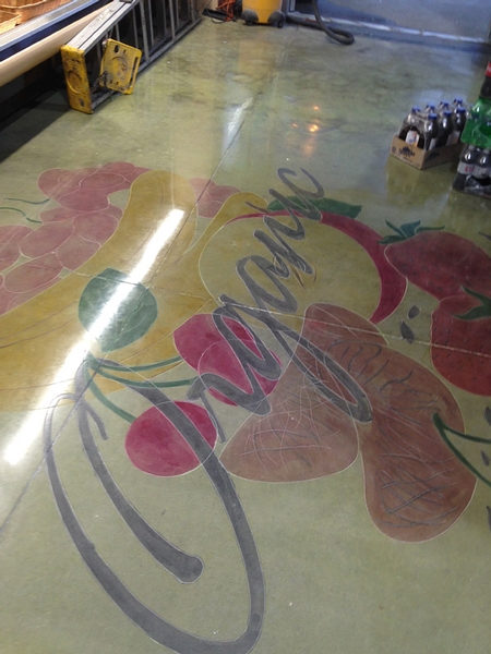 Organic dyed into concrete prior to polishing