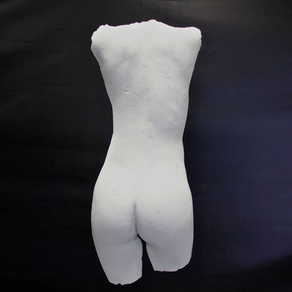 Lifecasting Jake Brady of Jake Brady Concrete by Design Sarasota, Florida