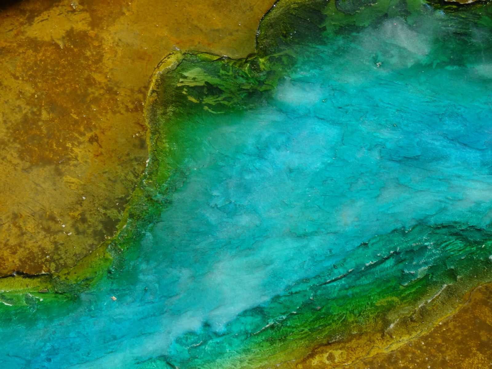 To compliment the river, Womack installed a piece he calls the raining tree. This piece utilized a raw cedar tree trunk running ceiling to floor that was then coated with a glow-in-the-dark (blue) pigment that cant be seen with the lights on or in day light;
