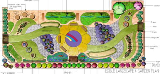 decorative concrete plan garden landscape plants walkway