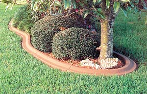 Designer concrete edging around island in grass with tree and shrubs. Excellent edition to any yardscape.