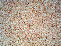 Versatile Liquid Granite Chip Flooring System - Gonzales said putting down a chip flooring system is one of his favorite applications at Versatile. You can hide multiple sins with this, he said. This covers everything.