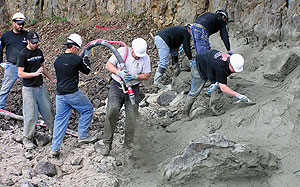 Applying Shotcrete to hill side - Of the many techniques used to create faux rocks from concrete, shotcrete is one of the best.