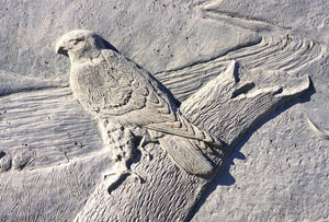 Decorative Concrete Murals