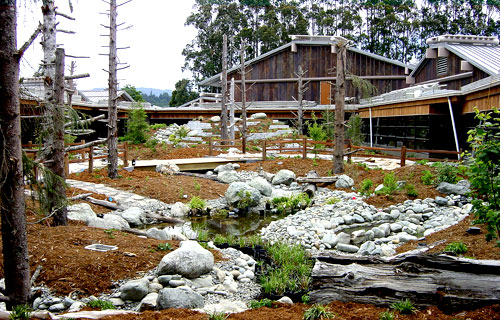 The Potawot Health Village in Arcata, Calif., greets patients with the look of a traditional Native American village, right down to the thick redwood planks that form the walls of the buildings. - Photos courtesy of Concrete Surfacing Systems 
