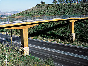 Vertical Concrete Staining - When it comes to sealing a stained wall, most sealers will work fine  as long as the customer has approved the final look with a mock-up, Thome says. There is a zoo that is using a potassium silicate over an acidbased stain to develop a higher abrasion resistance surface on their rockscapes. The appearance is what they are looking for, and it is lasting longer than a typical sealer.