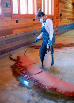 Flashing a stepped-back strata edge. Note the Ironite fertilizer clay granules that have been applied sporadically. The granules melt as stain is applied and leave a rusty orange spotting. This spotting is similar to knots in wood.