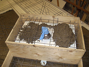 Alla Linetsky, owner of Concrete Elegance Inc., uses slag cement for environmental reasons. Images courtesy of Concrete Elegance, Inc.