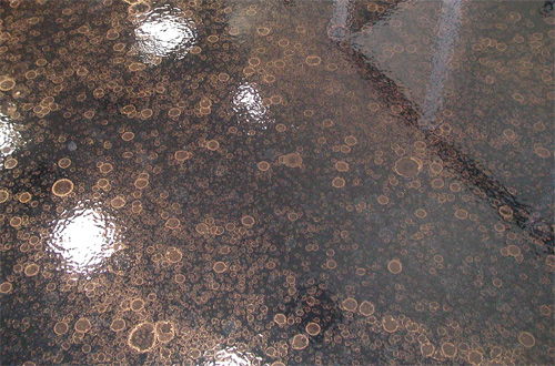 A brown metallic epoxy on this auto dealership's expansive floor brings a luxurious feel to the building.